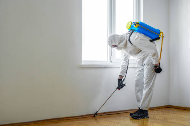 Professional Pest Control in Gunter, TX